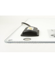 Solarmodul SW-40165, 60 Wp | SunWare