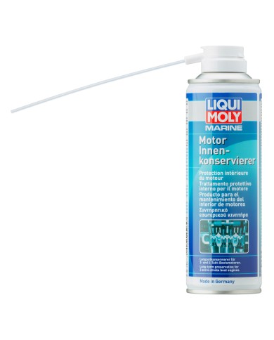 Protection intérieure du moteur 300 ml Protection intérieure du moteur 300 ml