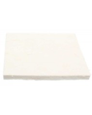 Sicherungsplatte für Kraftstoffpumpe