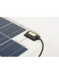 SunWare Panneau solaire SW-20165, 60 Wp | 4260278640759